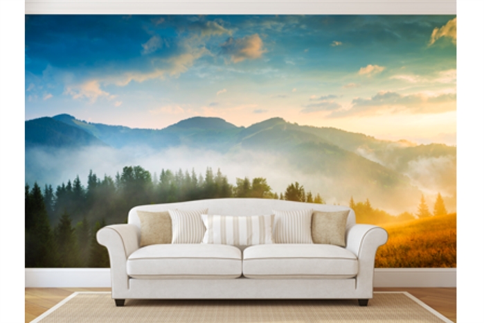 Custom Wall Graphics | Custom Wall Graphic Printing